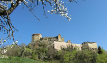 Days of the Open Castles